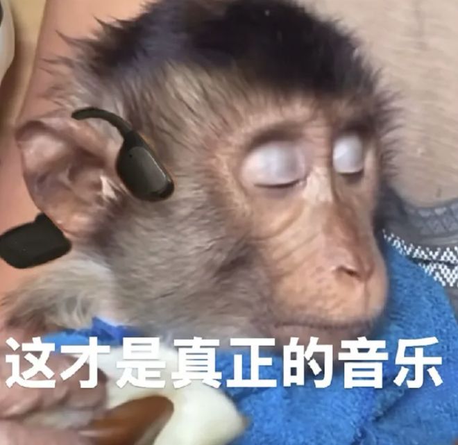 _骨传导耳机,拯救中年危机_骨传导耳机,拯救中年危机