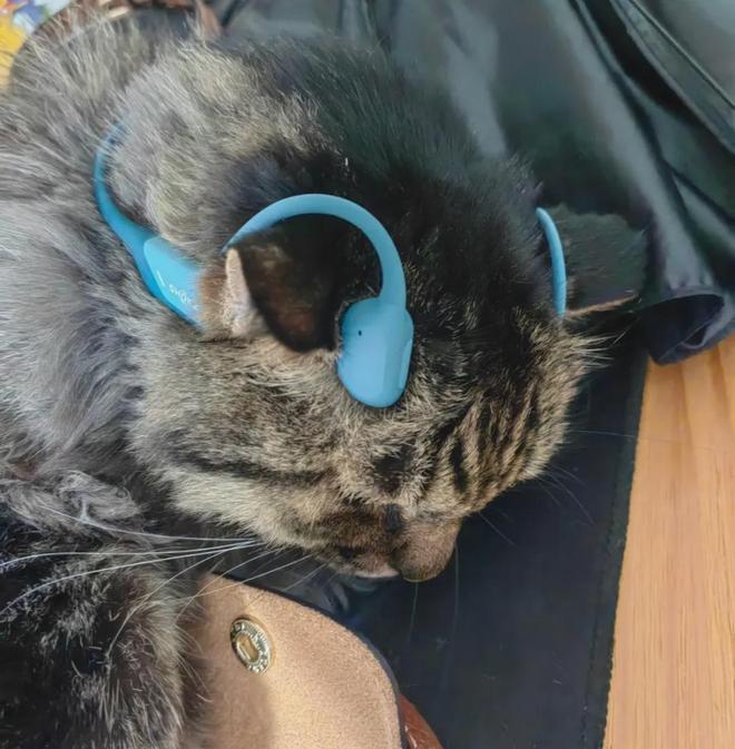 骨传导耳机,拯救中年危机_骨传导耳机,拯救中年危机_