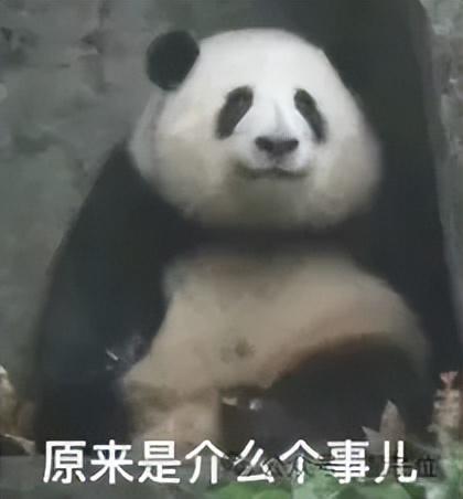 _孙正义再次清仓英伟达!上一次教训“价值2500亿美元”_孙正义再次清仓英伟达!上一次教训“价值2500亿美元”