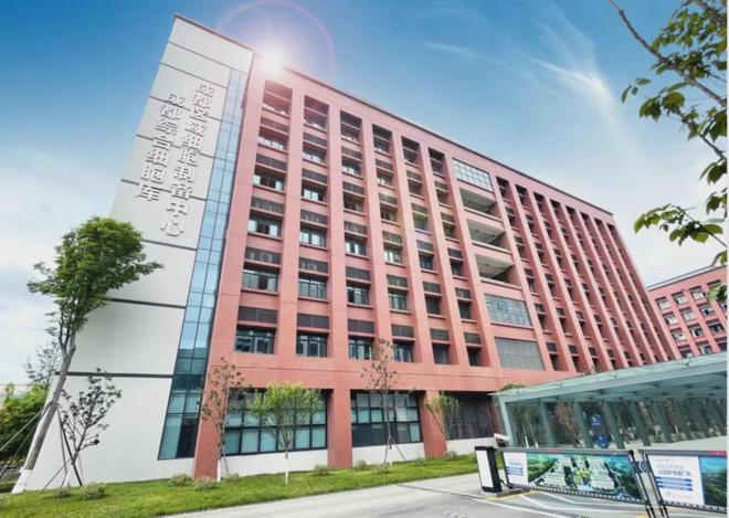 _银发经济蓬勃发展的驱动因素_什么是经济新动能