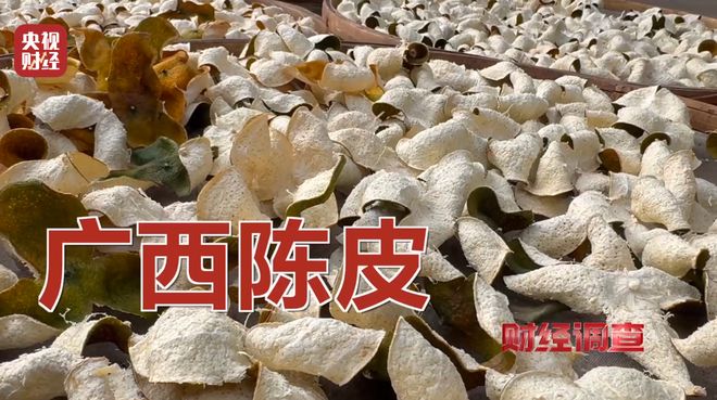 陈皮产地区别_年份陈皮价格_