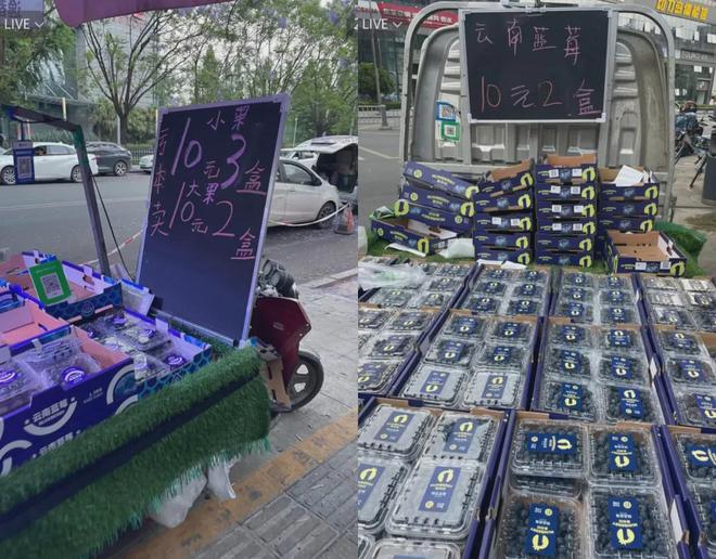 收割无数人的贵族水果，集体塌房了__收割无数人的贵族水果，集体塌房了
