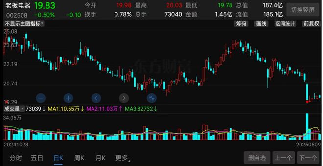 跳水电器老板大哥是谁__跳水公司