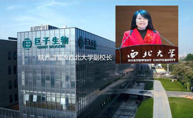 厅局级以上干部不允许经商，西北大学副校长是怎么赚到400多亿的_厅局级以上干部不允许经商，西北大学副校长是怎么赚到400多亿的_