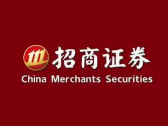 招商集团副总裁什么级别_招商副总裁招聘_