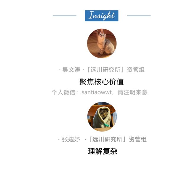 _炒苹果的做法大全家常_炒苹果窍门