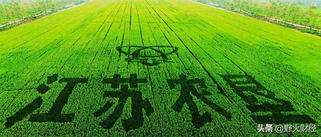江苏知名国企换帅，去年人均薪酬14.5万元