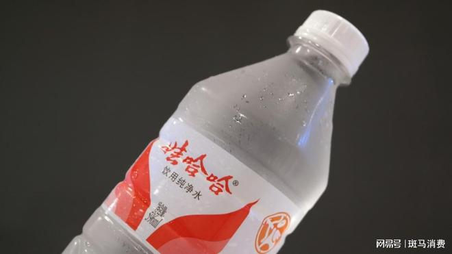 娃哈哈集团宗馥莉_娃哈哈宗馥莉_