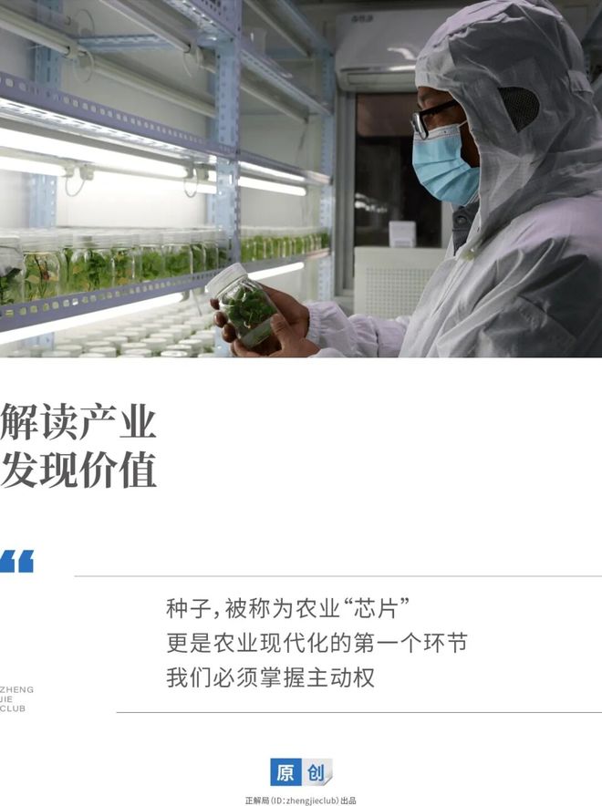 种玉米赔钱吗__玉米种子不好怎么打官司