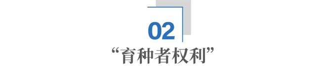 _玉米种子不好怎么打官司_种玉米赔钱吗