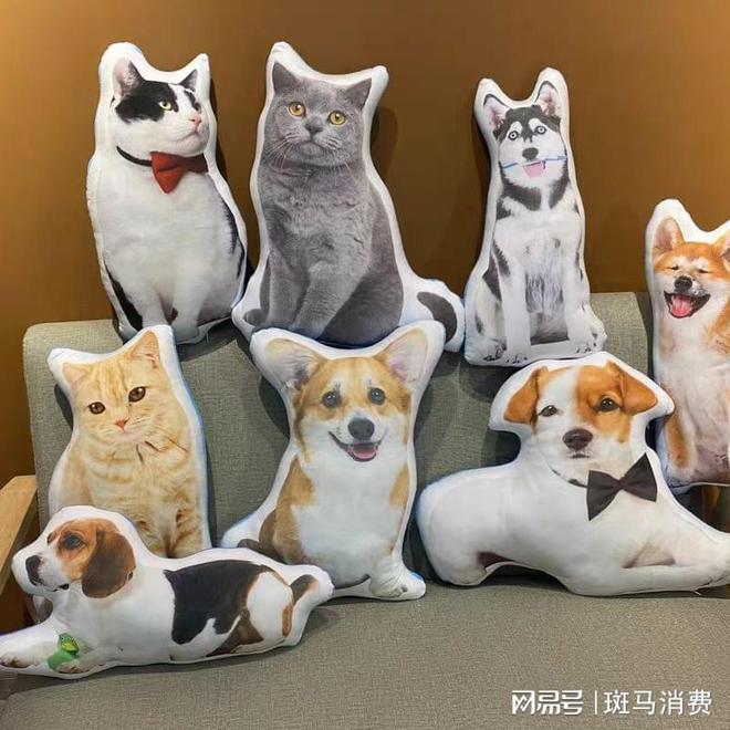 _万亿征途，宠物市场新的爆发点何在？｜“争宠”③_万亿征途，宠物市场新的爆发点何在？｜“争宠”③