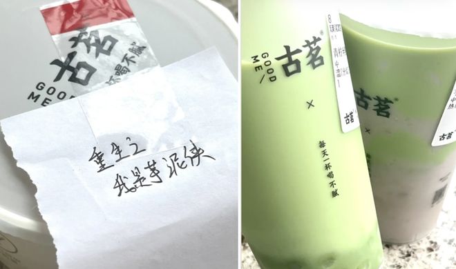_雪王在小票上连载穿越小说，疯狂追更的打工人一天三杯柠檬水喝到快吐_雪王在小票上连载穿越小说，疯狂追更的打工人一天三杯柠檬水喝到快吐