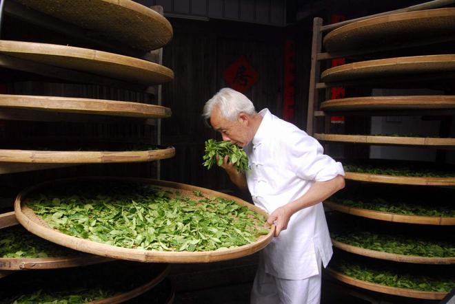 茶叶港股__生意难做利润下滑