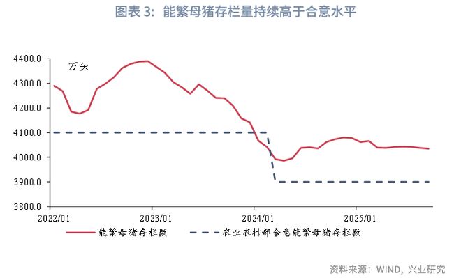鲁政委：猪周期——这次不一样__鲁政委：猪周期——这次不一样
