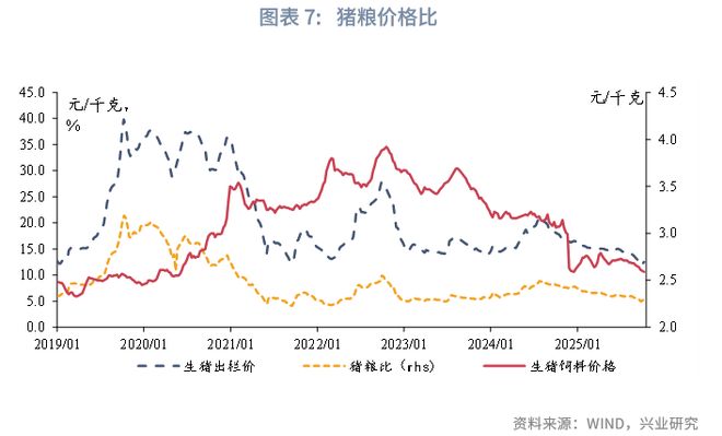 _鲁政委：猪周期——这次不一样_鲁政委：猪周期——这次不一样
