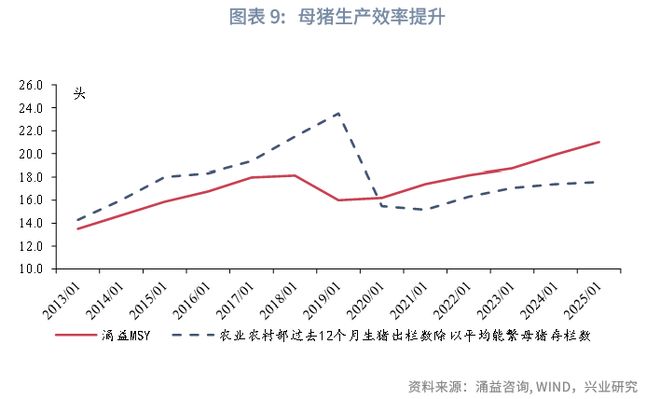 鲁政委：猪周期——这次不一样_鲁政委：猪周期——这次不一样_