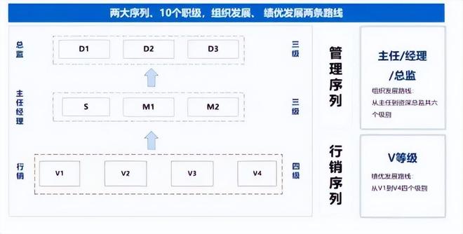 平安保险的分销策略__平安的寿险改革
