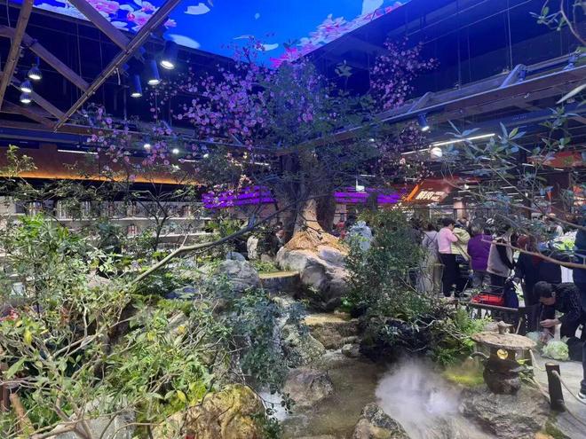 _农夫歌手_农夫集团老板