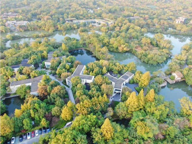 杭州巨峰科技有限公司规模__杭州米雅科技规模