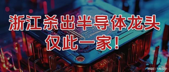 浙江省半导体生产公司排名__浙江半导体行业