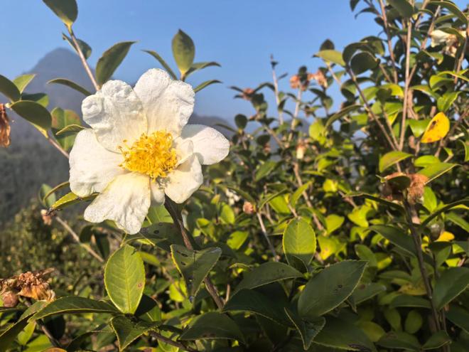 广东韶关油价今日价格_广东韶关油库地址_