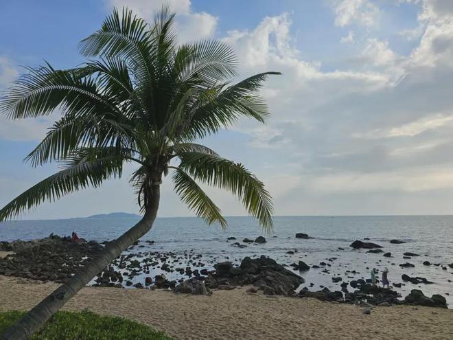 海南封关有什么利好__海南封关运作带来什么机会