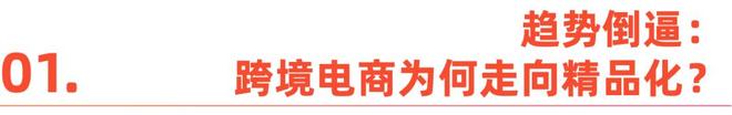 _亚马逊供应链平台_亚马逊产品链接