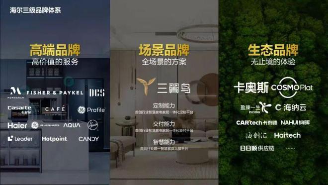 不确定的世界，确定的“反脆弱”密码__不确定的世界，确定的“反脆弱”密码