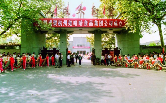 _娃哈哈投资_娃哈哈集团近况