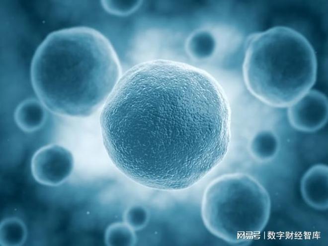 中国14纳米芯片光刻机__纳米创始人是谁