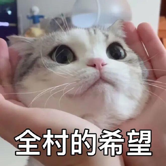 汽车狂人又要上市了！这次是智驾__汽车狂人又要上市了！这次是智驾