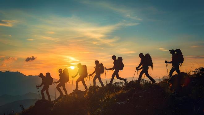 _海外双十一交易额_双11海外