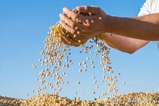 _人民币遭“围剿”?英国替美国出手,竟忘了中国才是它最大买家_人民币遭“围剿”?英国替美国出手,竟忘了中国才是它最大买家