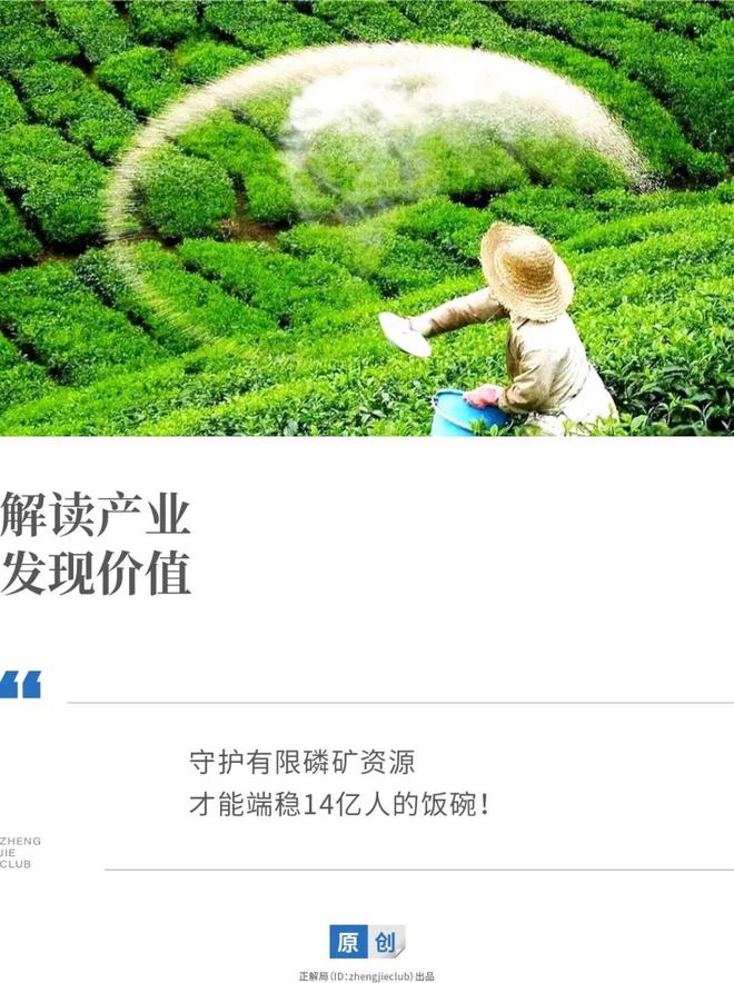 磷肥出口关税__全球磷肥产量