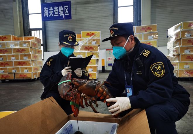 中国帝制老路_中国汽车销量排行榜日系逆势_