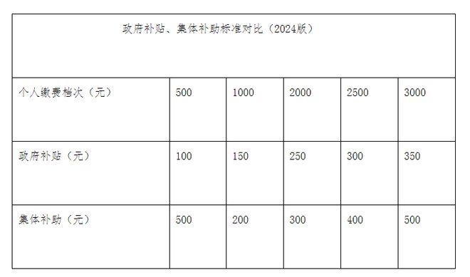 _多元化农村养老服务_提高农民养老金