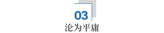 _飞利浦国内代工_飞利浦贴牌之王
