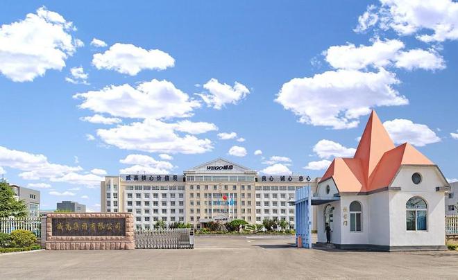 主板上市净资产要求_飞轮公司能顺利上市吗_