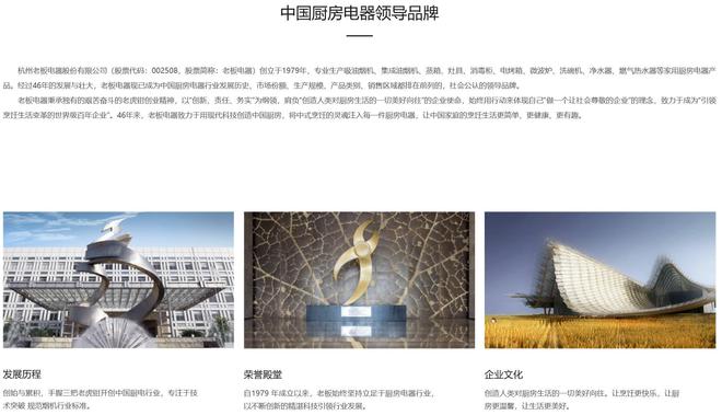 _国补+AI模型，老板电器的第二曲线是真突破还是伪风口？_国补+AI模型，老板电器的第二曲线是真突破还是伪风口？