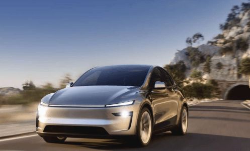 _特斯拉起诉30多家中国公司！_特斯拉起诉30多家中国公司！