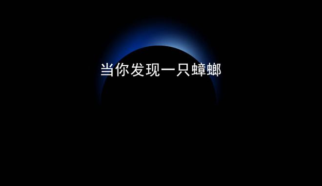 高校的入职标准果然只有骗子才能满足__高校的入职标准果然只有骗子才能满足