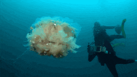 _发射300万卫星换不来的流量，千万UP主“扮穷相亲” 50秒就够了_发射300万卫星换不来的流量，千万UP主“扮穷相亲” 50秒就够了