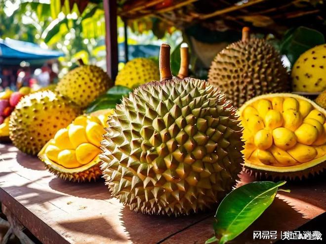 “榴莲大王”邓洪九，走进至暗时刻
