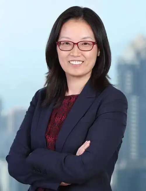 闪辉：具有人民币特色的国际化道路