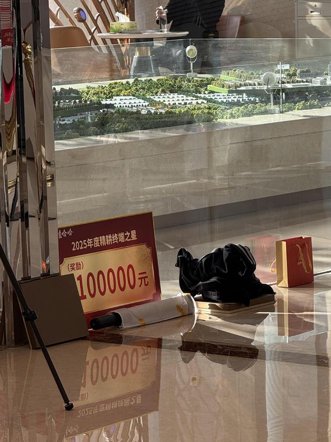 娃哈哈奖金制度_娃哈哈表演_