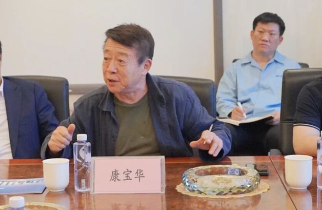 远大智能三年半财报造假坐实，虚增营收3.36亿！时任董事长康宝华被罚__远大智能三年半财报造假坐实，虚增营收3.36亿！时任董事长康宝华被罚