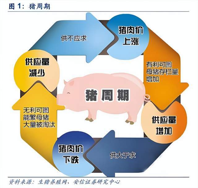 国家调控猪肉_控制猪肉价格_