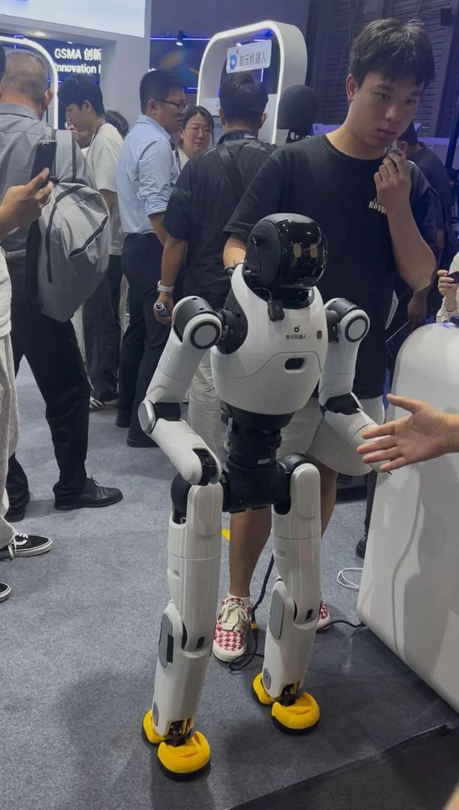 人形美女机器人可佳_立体木质拼图机器_