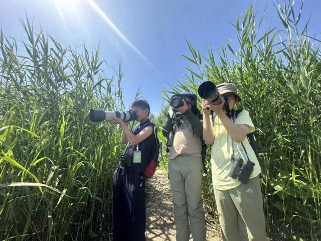 李现加入的“观鸟圈”，活跃着中小学生_李现加入的“观鸟圈”，活跃着中小学生_