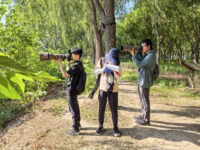 李现加入的“观鸟圈”，活跃着中小学生_李现加入的“观鸟圈”，活跃着中小学生_
